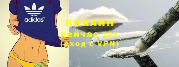 соль ск Алзамай