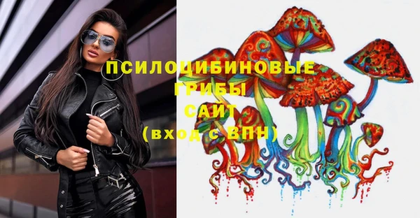 соль ск Алзамай