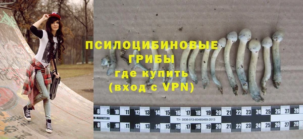 дурь Абдулино