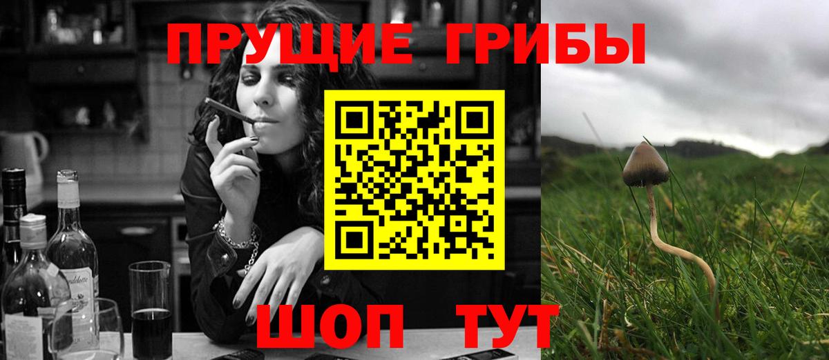 Шахты  Галлюциногенные грибы MAGIC MUSHROOMS  Галлюциногенные грибы Magic Shrooms  Вход с VPN 