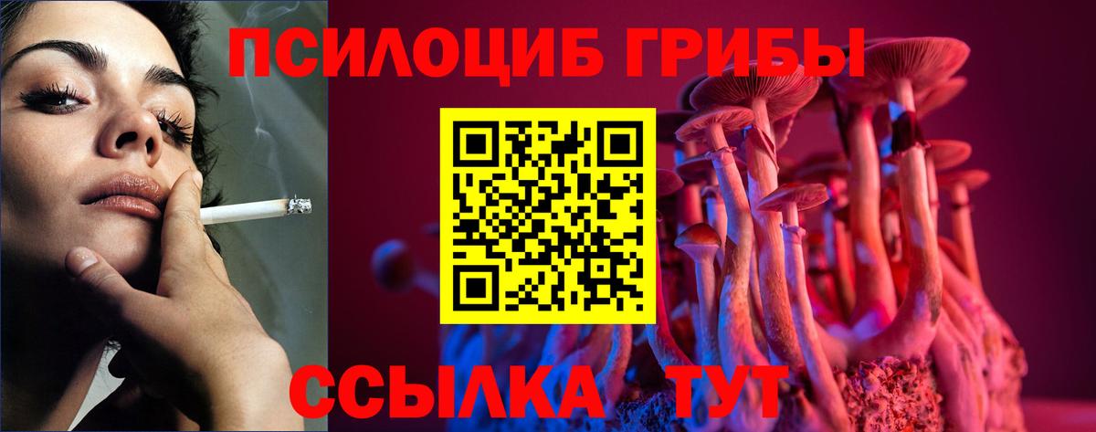 Псилоцибиновые грибы GOLDEN TEACHER Шахты
