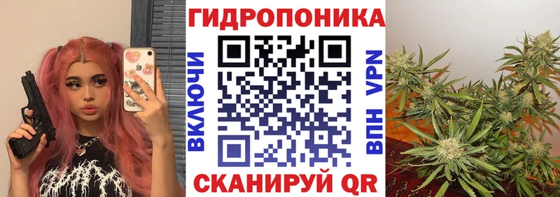 Бошки марихуана гибрид  где найти   Шахты 